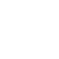 LinkedIn icon